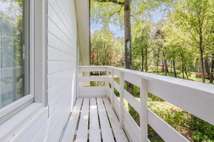 Foto 26 van Atalanta 58