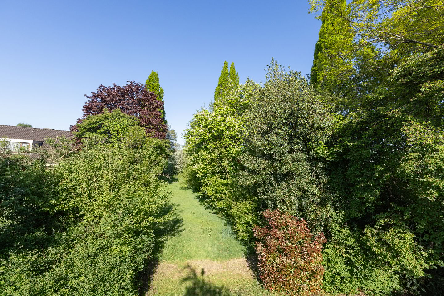 Foto 34 van Holtplas 26