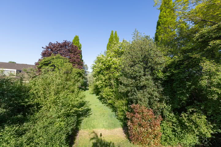 Foto 34 van Holtplas 26