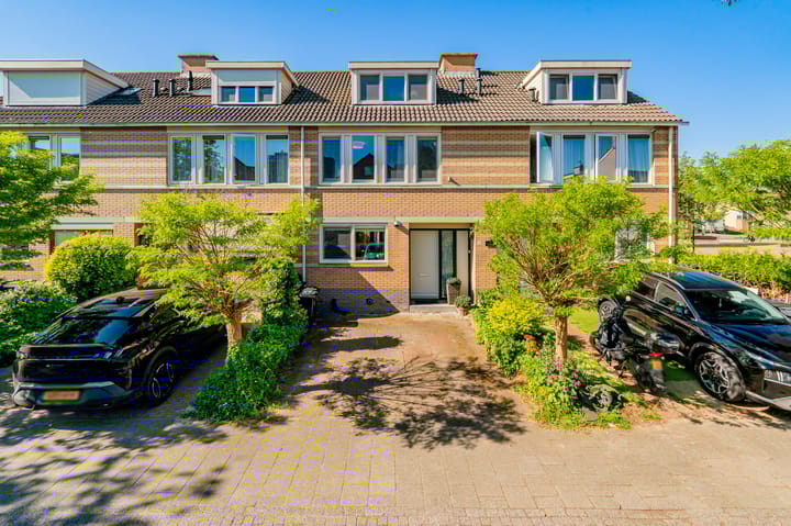 Foto 1 van Galjoen 5