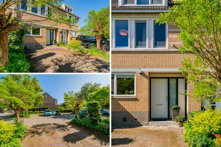 Foto 44 van Galjoen 5