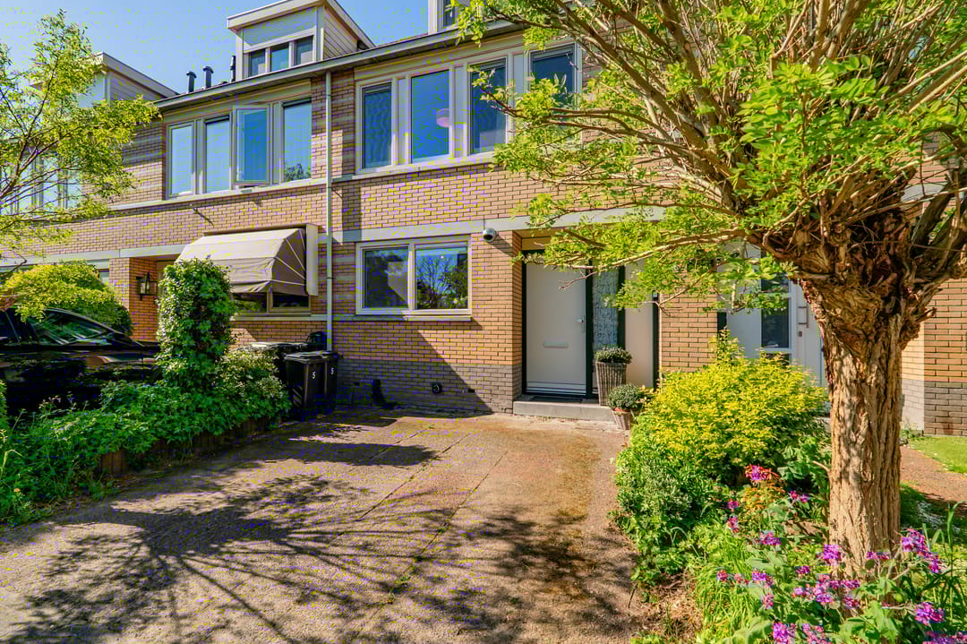 Foto 46 van Galjoen 5