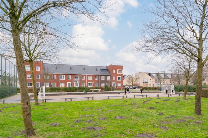 Foto 55 van Galjoen 5