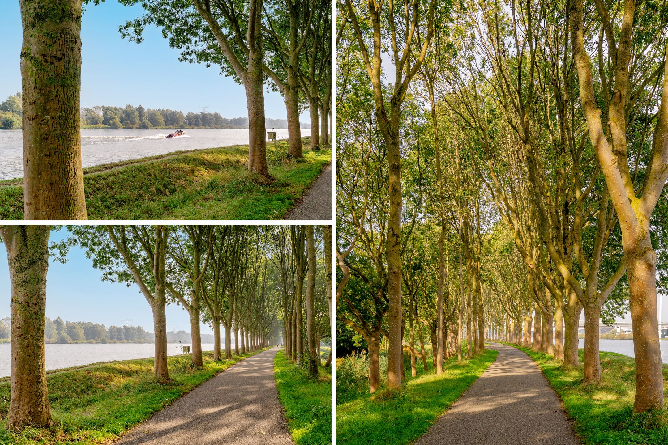 Foto 57 van Galjoen 5