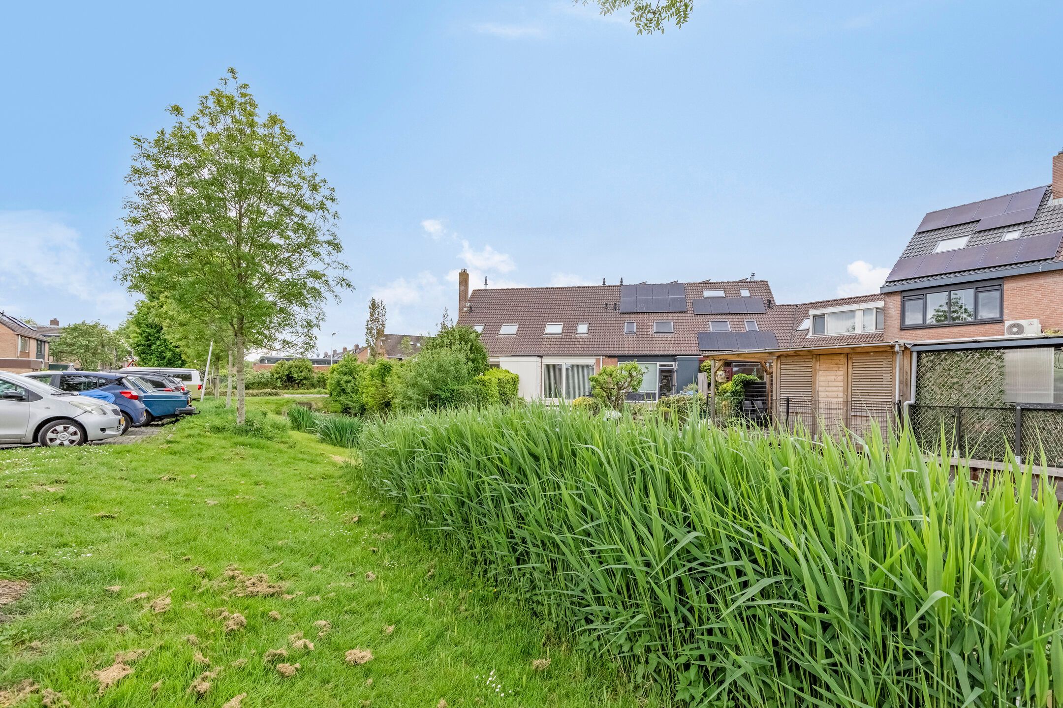 Foto 6 van Barbarakruid 11