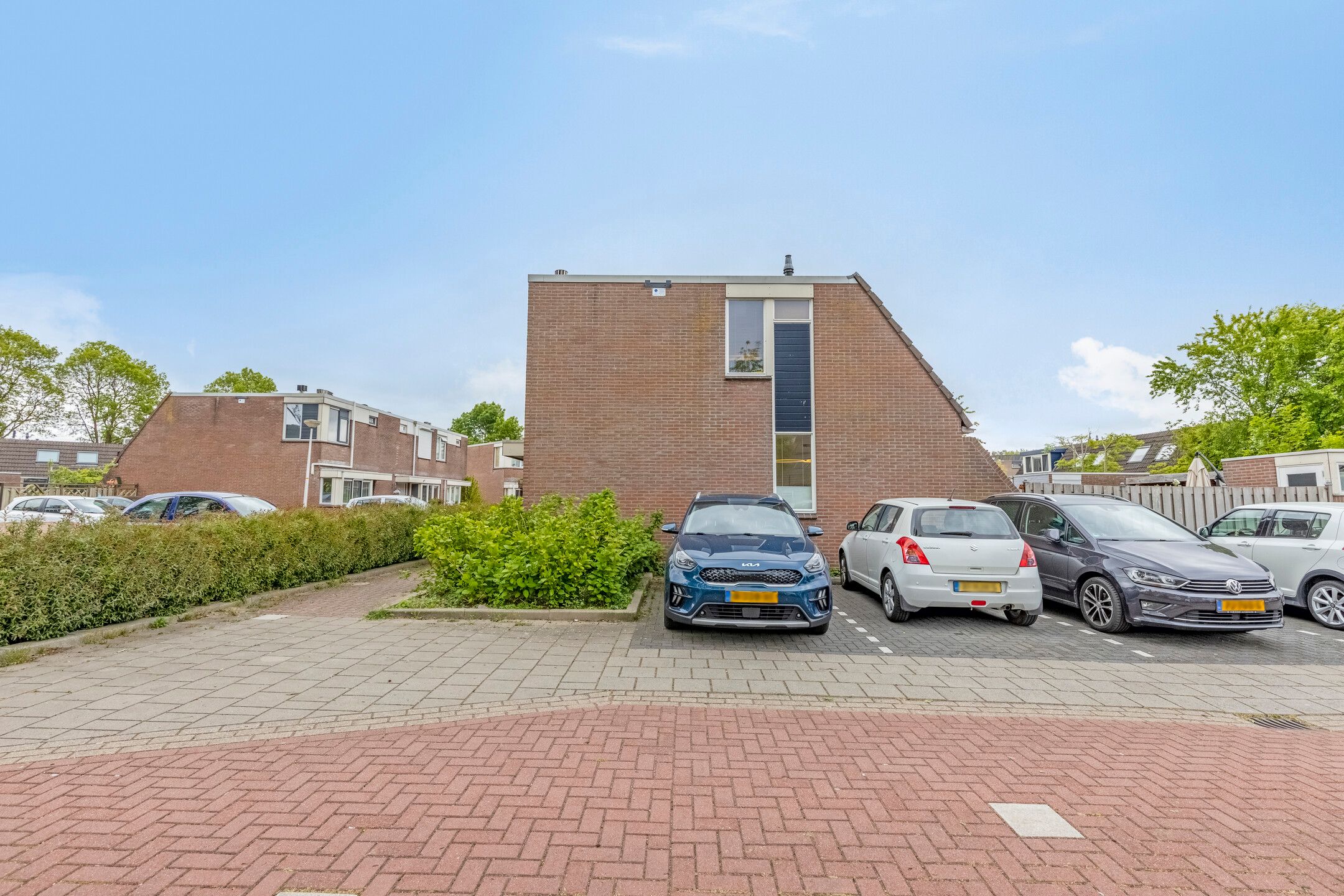 Foto 24 van Barbarakruid 11