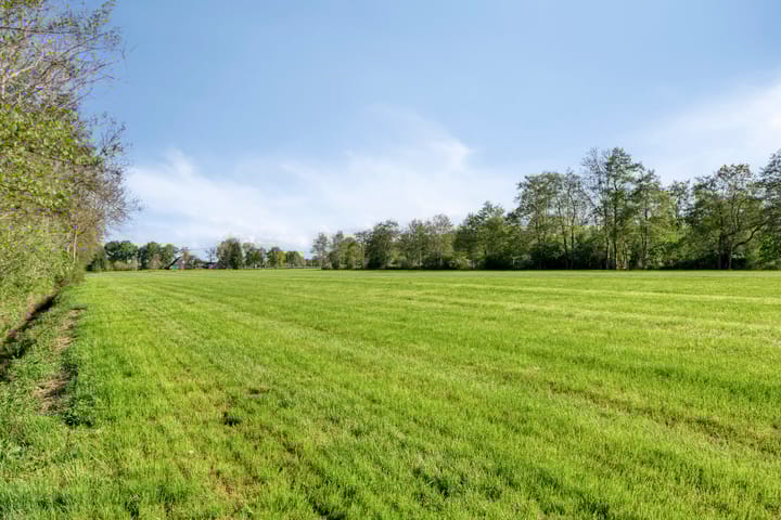 Foto 51 van Elzepad 12