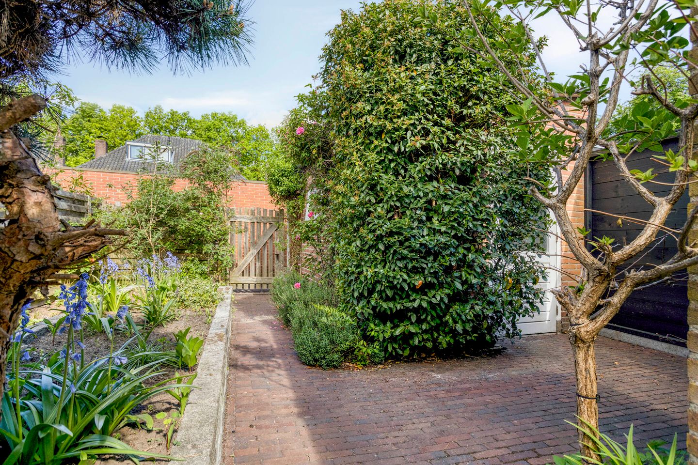 Foto 34 van Willem Kalfstraat 60