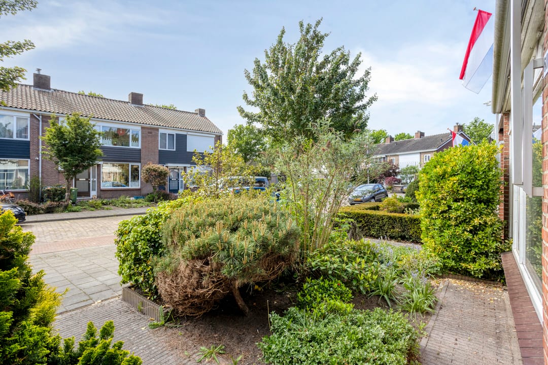 Foto 38 van Willem Kalfstraat 60