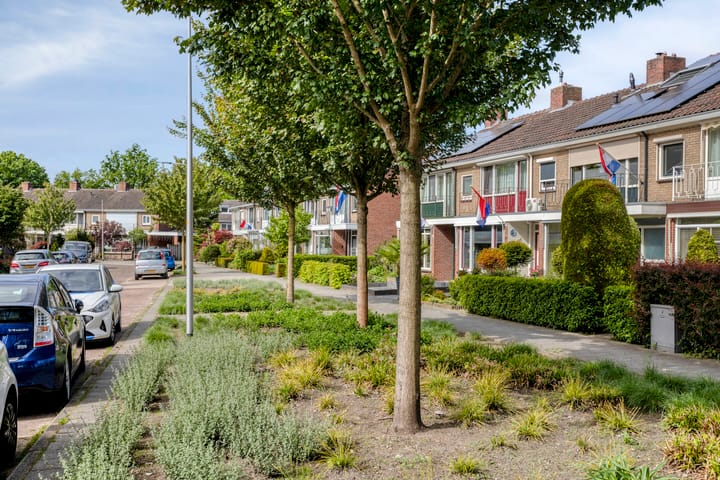 Foto 39 van Willem Kalfstraat 60