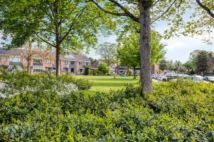 Foto 41 van Willem Kalfstraat 60