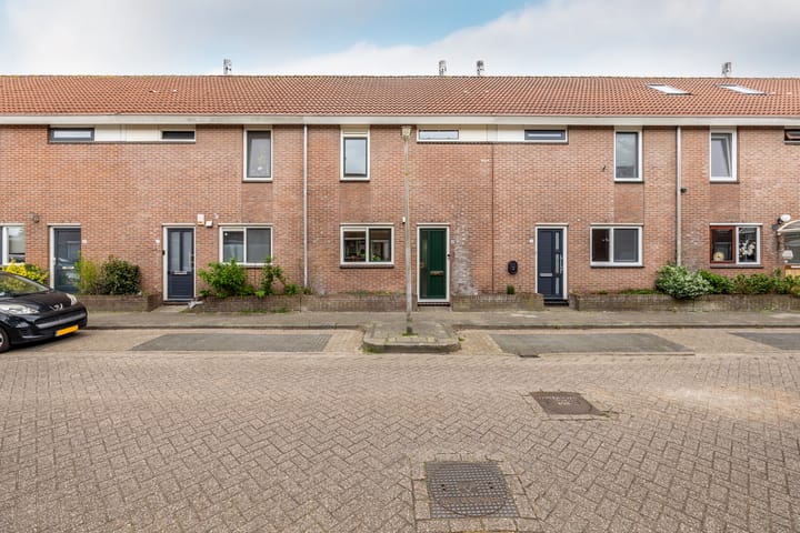 undefined main image