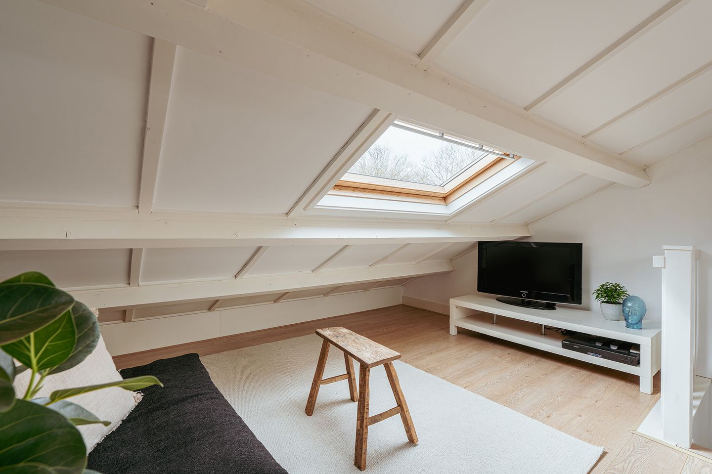 Photo 50 of Nieuwland 33