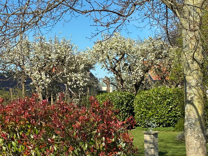 Photo 42 of Lage Giessen 19