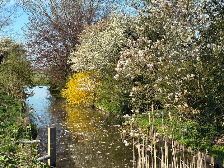 Photo 43 of Lage Giessen 19