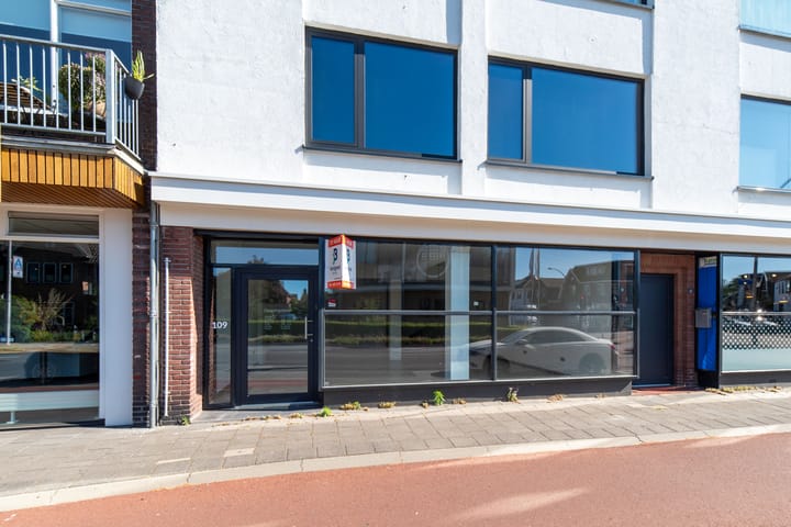 Mr. P.J. Troelstrastraat 109