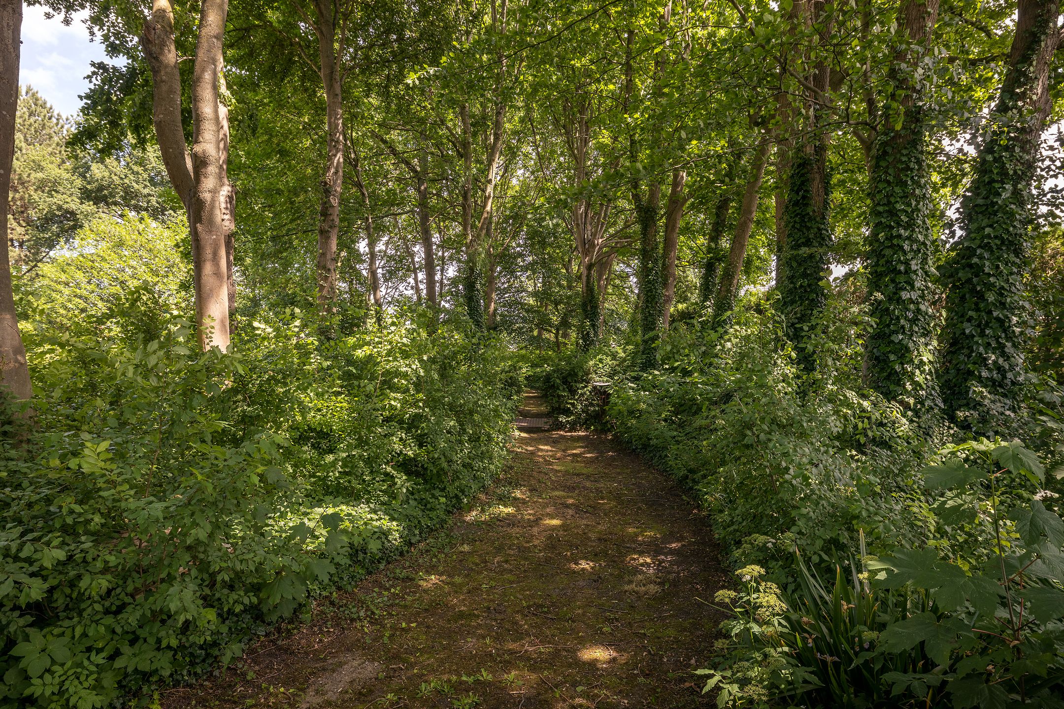 Foto 42 van Lange Brugstraat 136