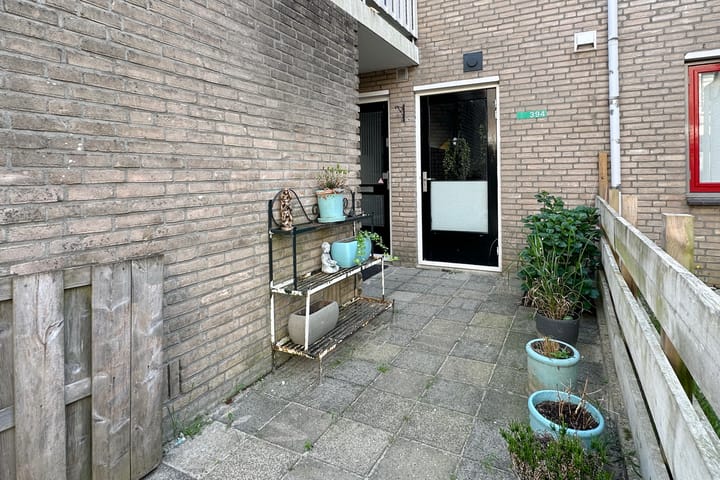 Foto 2 van Antilopespoor 394