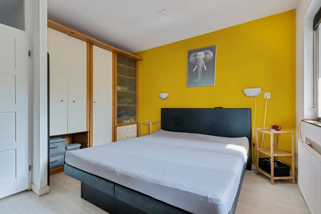 Foto 13 van Antilopespoor 394