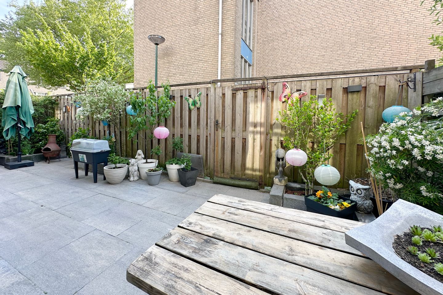 Foto 19 van Antilopespoor 394