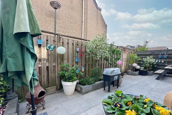 Foto 21 van Antilopespoor 394