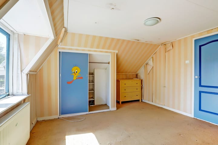 Foto 10 van Tsjerkebuorren 43