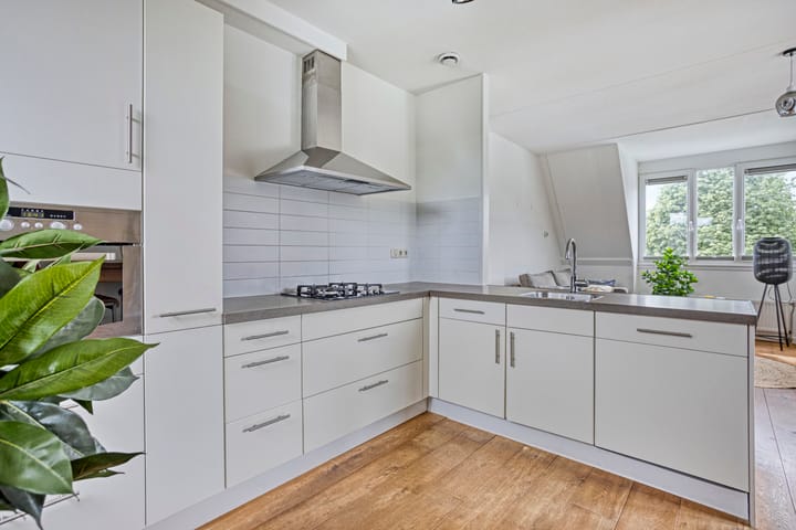 Foto 6 van Bezembinder 44