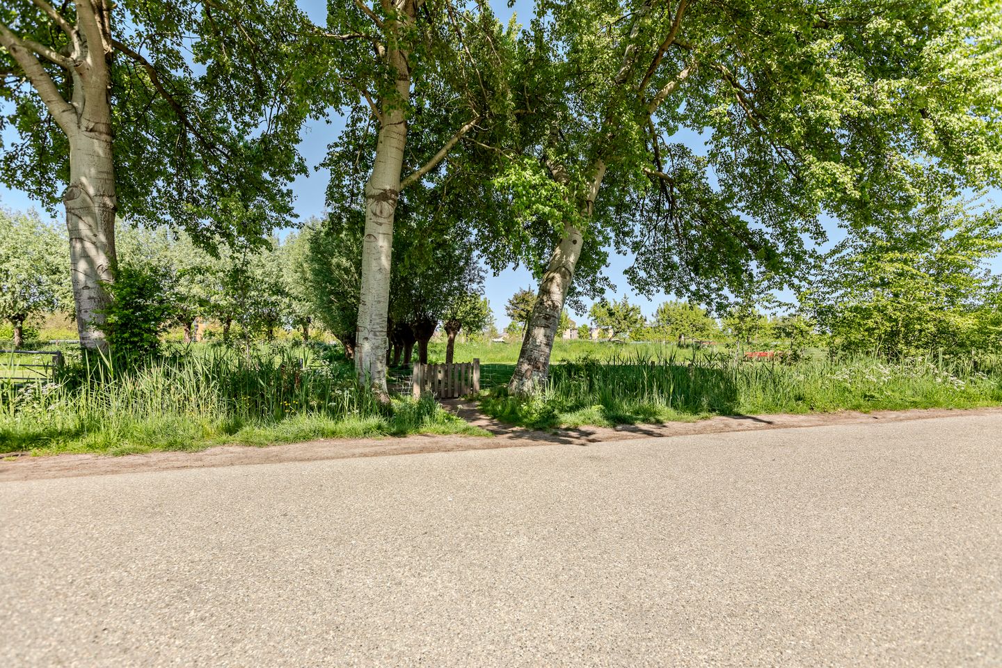 Foto 4 van Siedersstraat 2