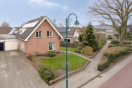 undefined main image