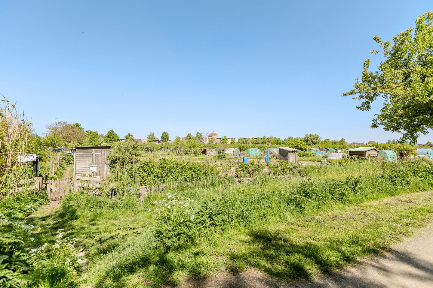 Foto 44 van Siedersstraat 2