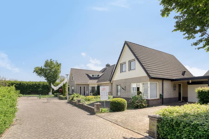 Foto 5 van Koningszuur 2