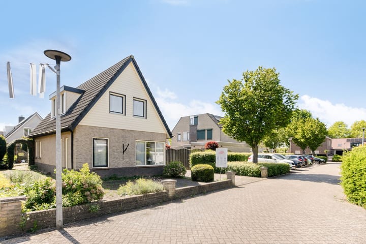 Foto 7 van Koningszuur 2