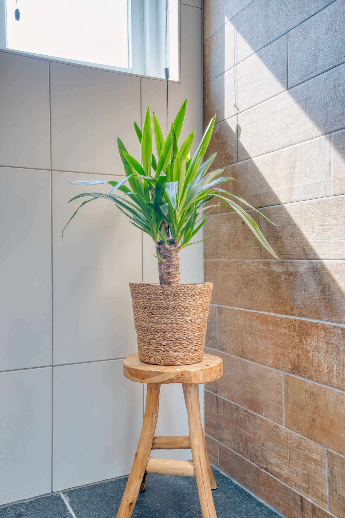 Photo 35 of Meubelmaker 33