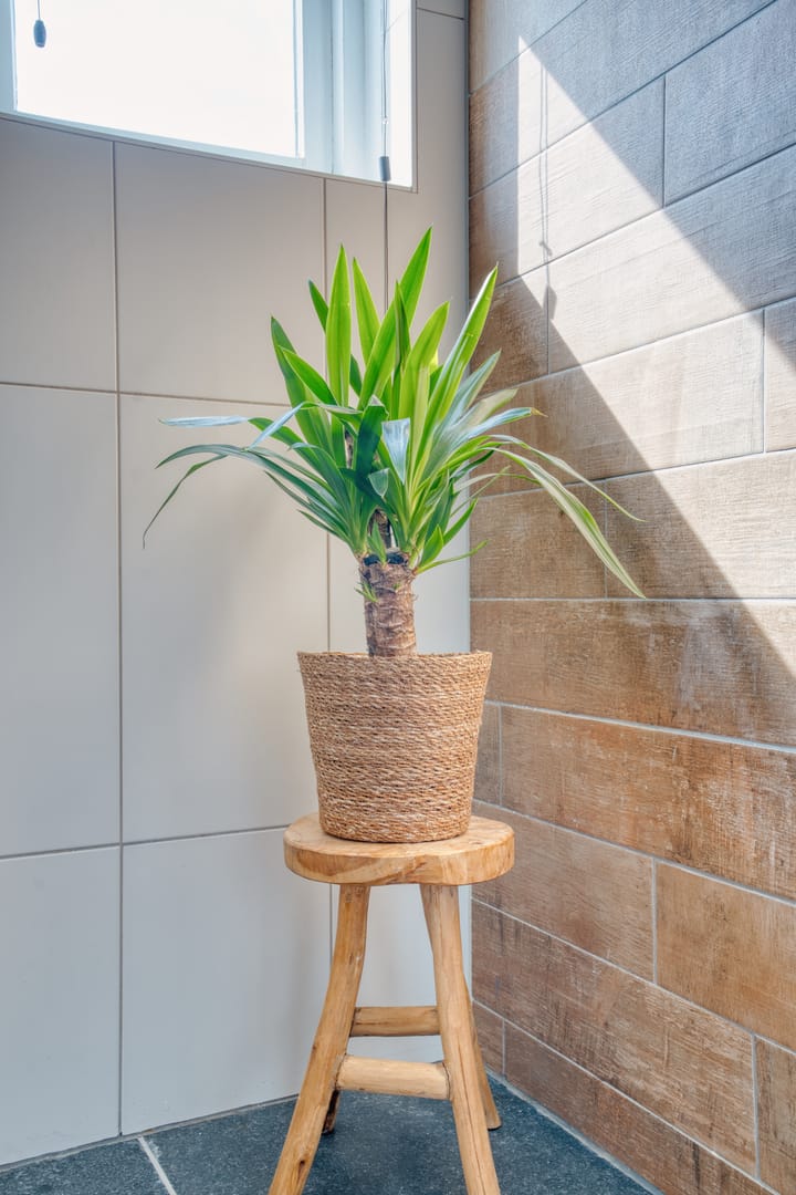 Foto 35 van Meubelmaker 33