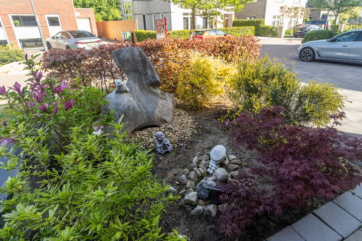 Foto 38 van Slanke Waterbies 4