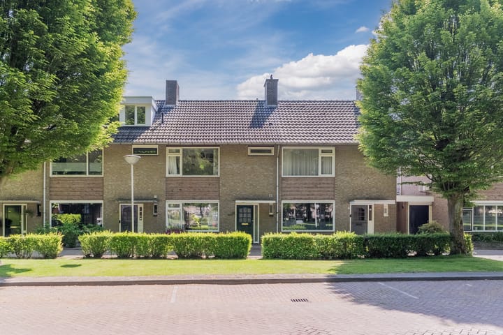 undefined main image