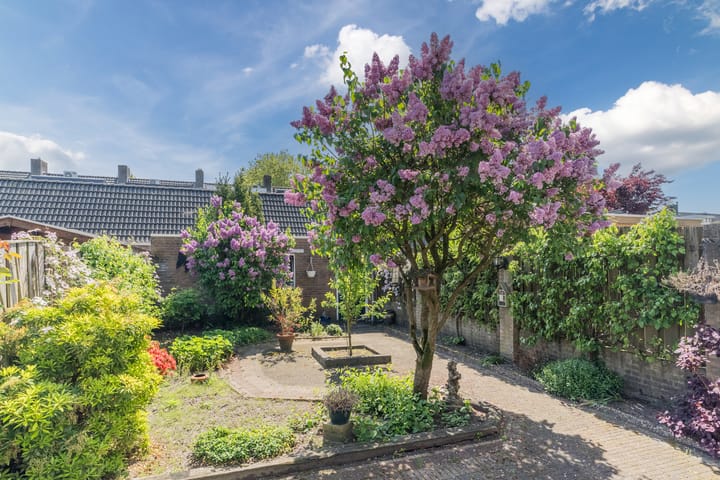 Foto 4 van Mgr. Zwijsenstraat 66