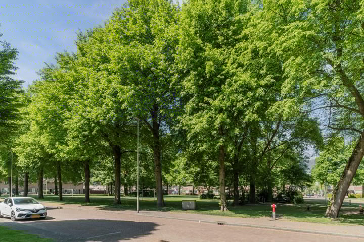 Foto 34 van Mgr. Zwijsenstraat 66