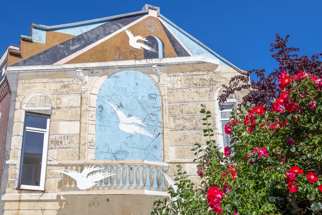 Foto 38 van Adelaarstraat 43-1