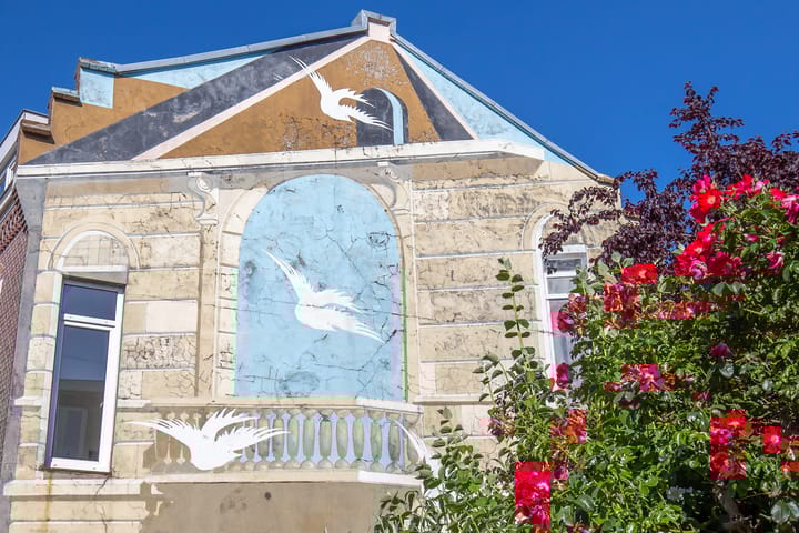 Foto 38 van Adelaarstraat 43-1