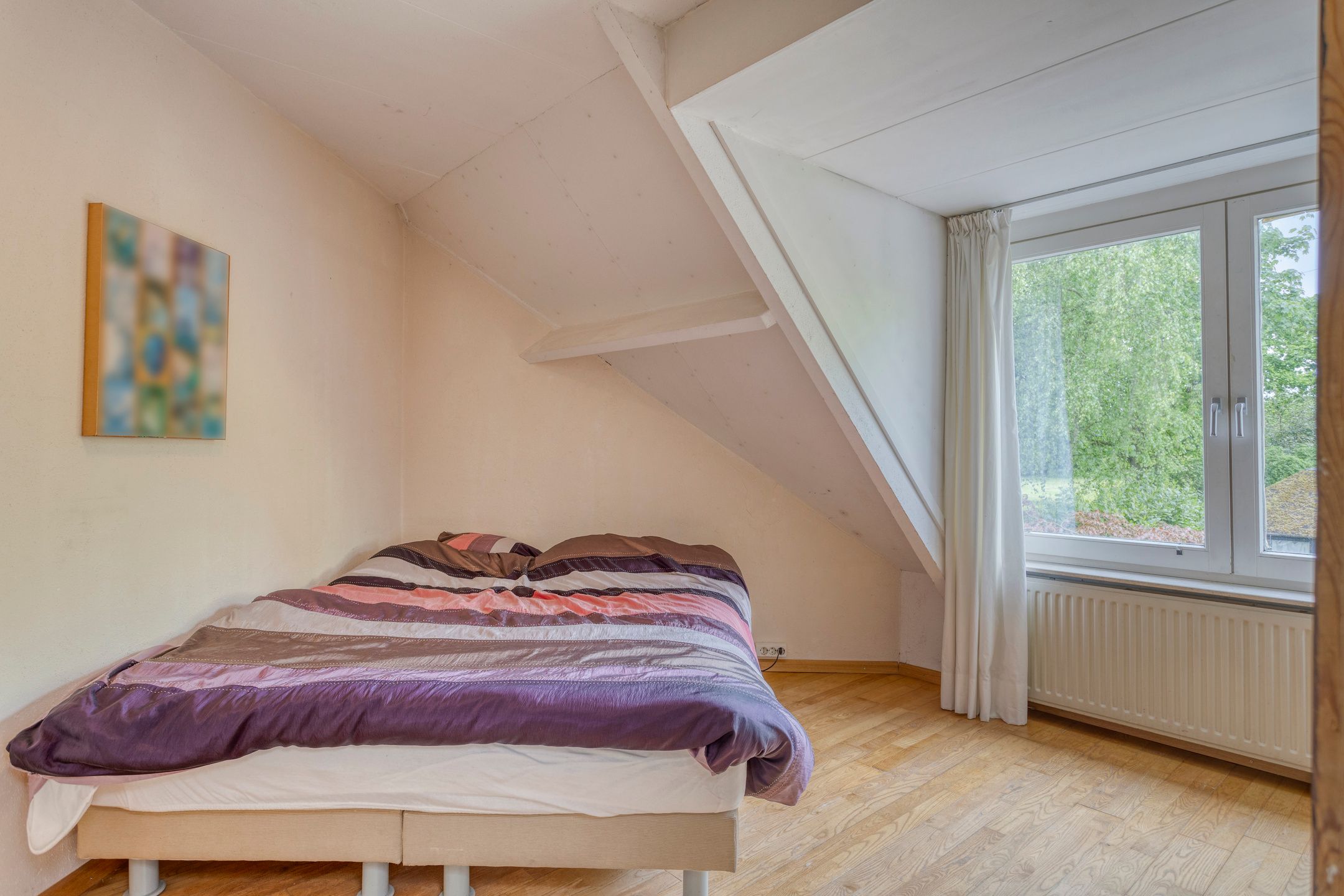 Foto 18 van Waterhoen 29