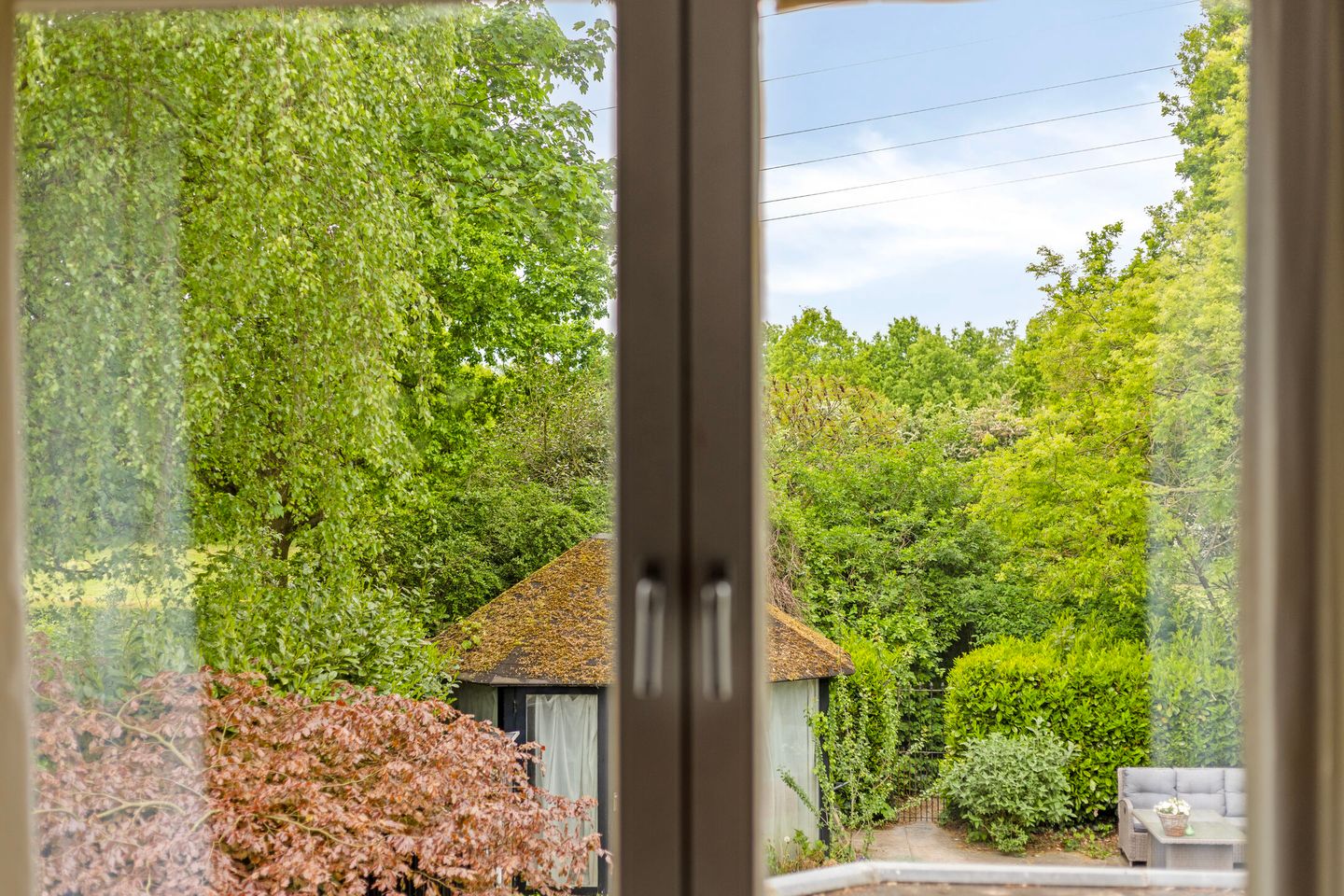 Foto 19 van Waterhoen 29