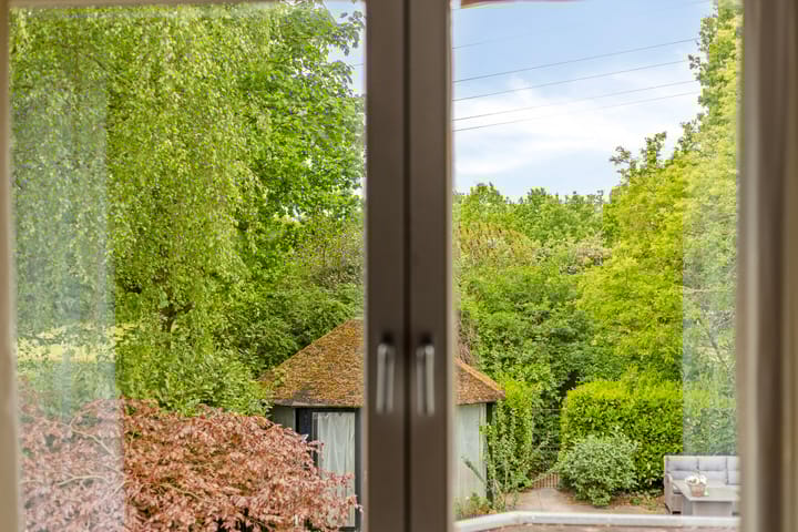 Foto 19 van Waterhoen 29