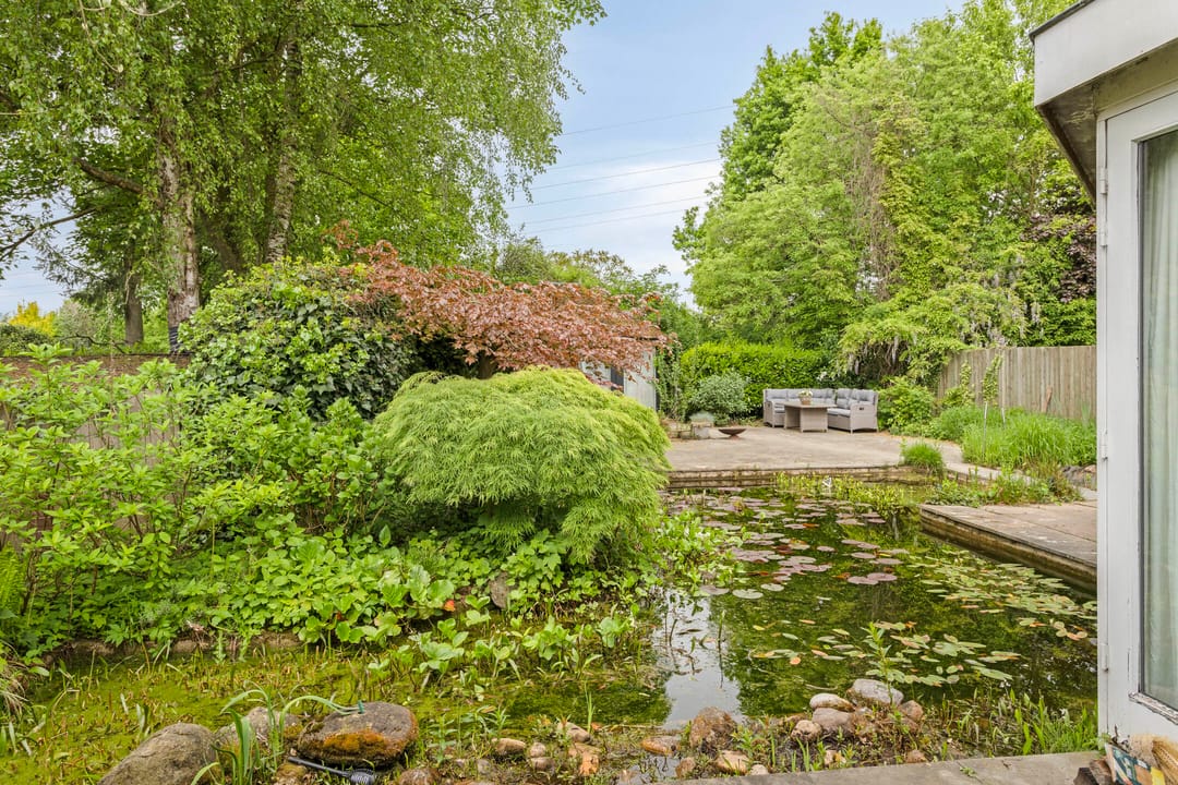 Foto 23 van Waterhoen 29