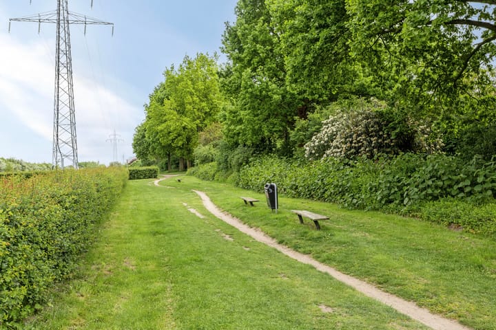 Foto 28 van Waterhoen 29