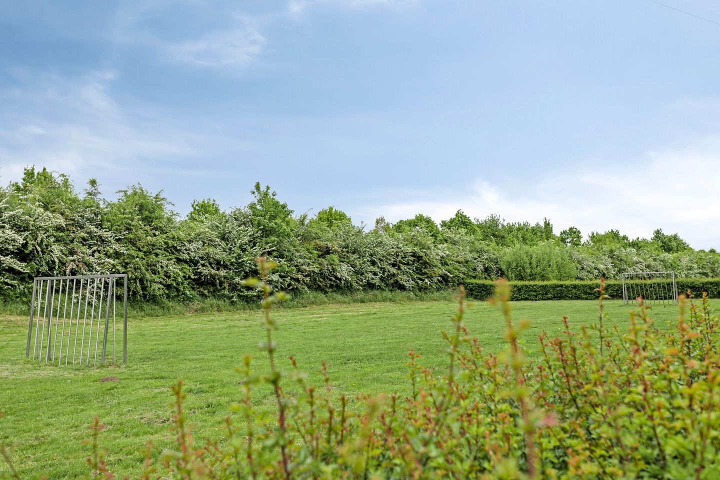 Foto 29 van Waterhoen 29