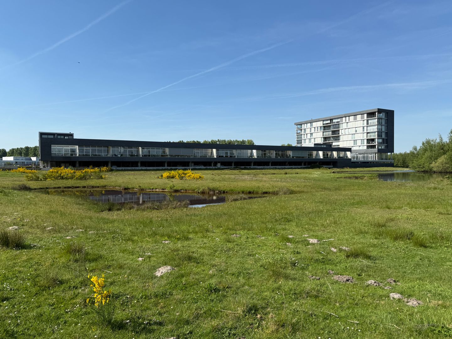 Foto 1 van Dalempromenade 12