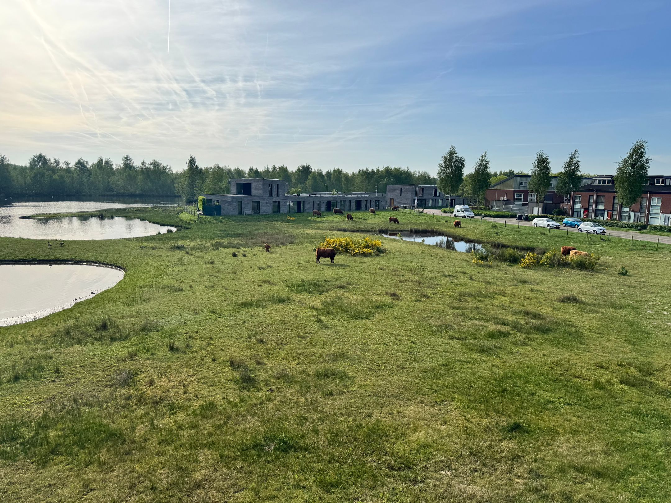 Photo 3 of Dalempromenade 12