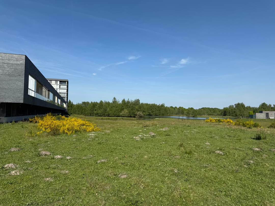 Photo 47 of Dalempromenade 12