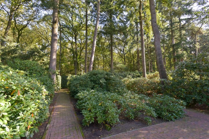 Foto 53 van Wolfhezerweg 9-A